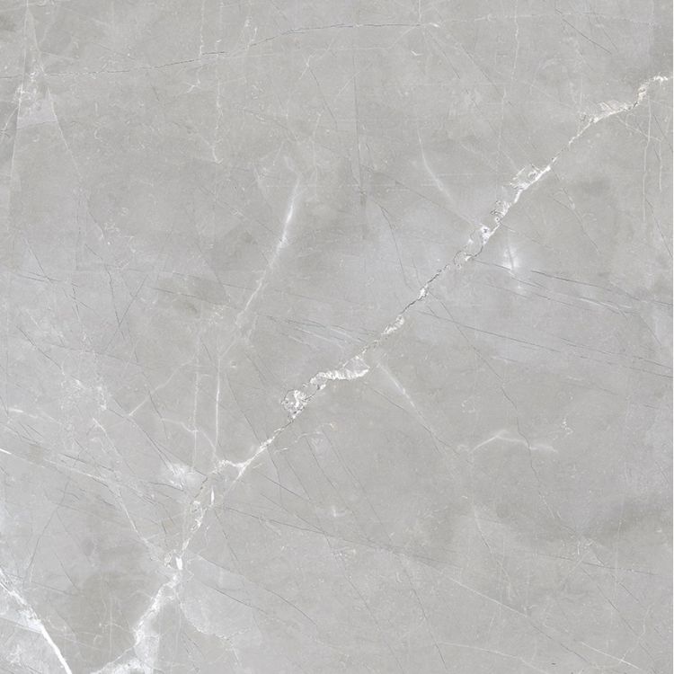 Luxury Amani Grey Polished 24 x 24